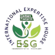 logo4-removebg-preview